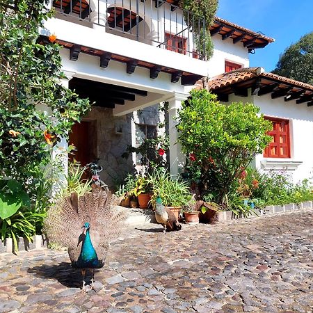 Hotel Y Jardines Casa Buho Antigua Eksteriør billede