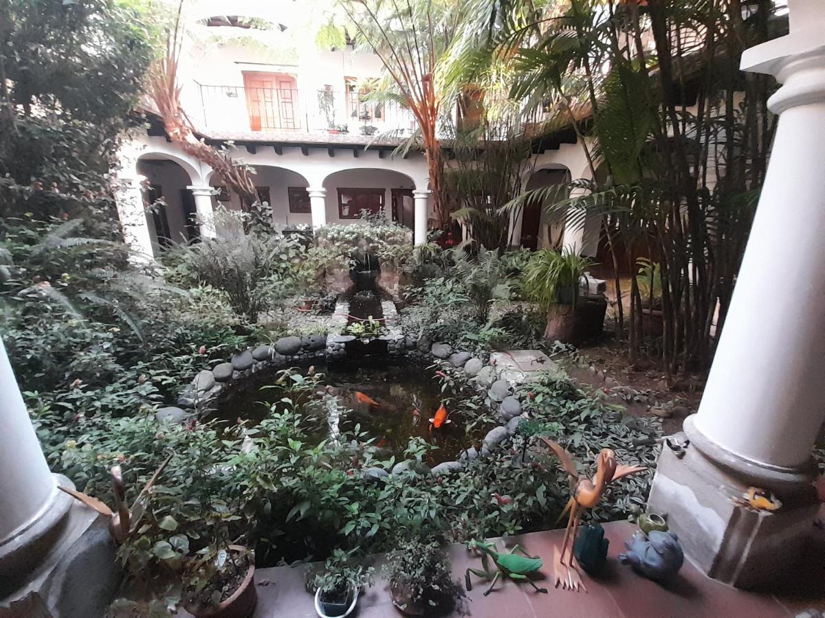 Hotel Y Jardines Casa Buho Antigua Eksteriør billede