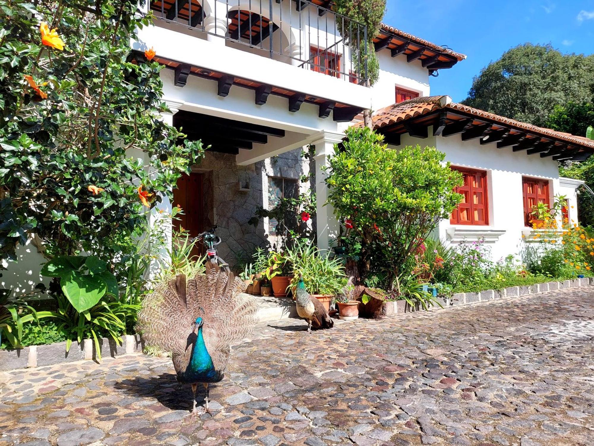 Hotel Y Jardines Casa Buho Antigua Eksteriør billede
